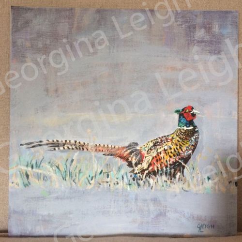 Original Oil Painting of 'Pheasant'